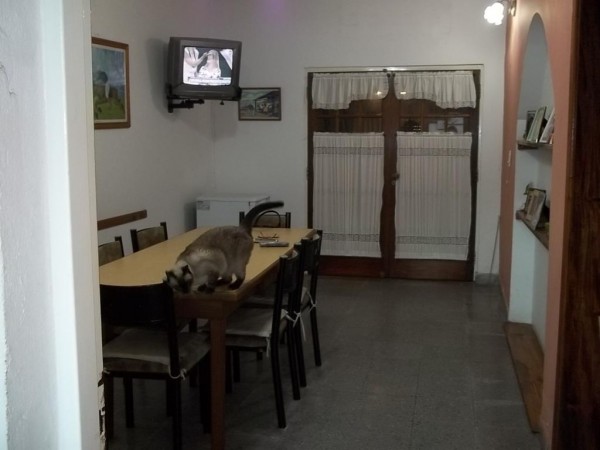 HERMOSO CHALET 5 AMBIENTES / GRAN PARQUE / COCHERA PARA 3 AUTOS / LOTE 10 X 33