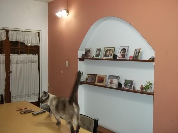 HERMOSO CHALET 5 AMBIENTES / GRAN PARQUE / COCHERA PARA 3 AUTOS / LOTE 10 X 33